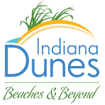 IDT logo